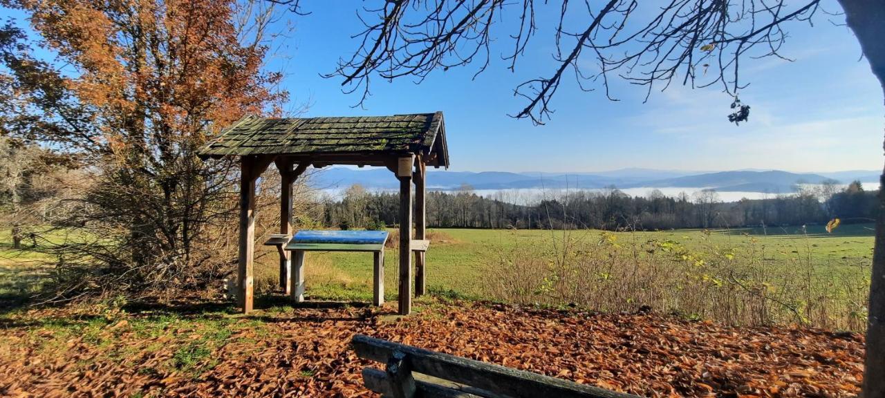 Berggasthof Schoen Patersdorf ภายนอก รูปภาพ